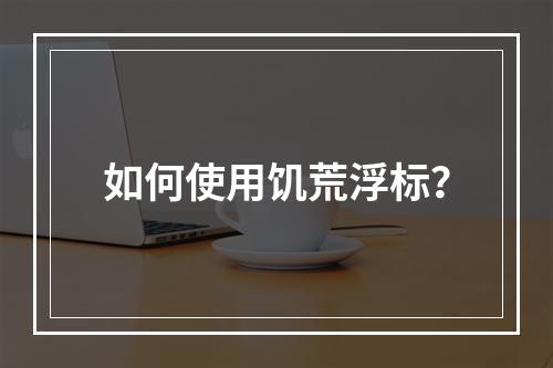 如何使用饥荒浮标？