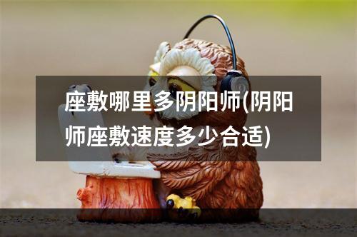 座敷哪里多阴阳师(阴阳师座敷速度多少合适)