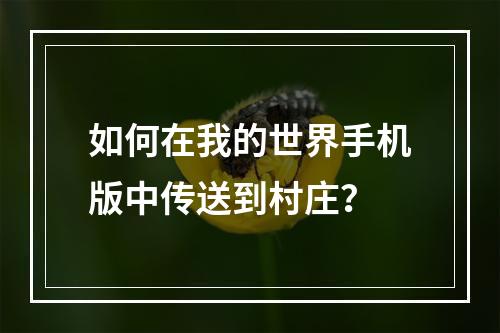 如何在我的世界手机版中传送到村庄？