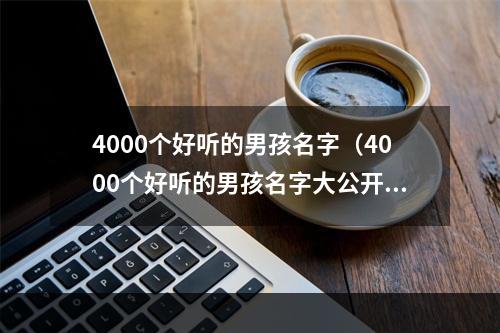 4000个好听的男孩名字（4000个好听的男孩名字大公开！）