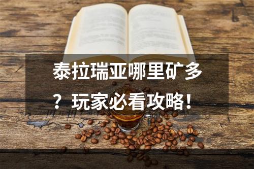 泰拉瑞亚哪里矿多？玩家必看攻略！