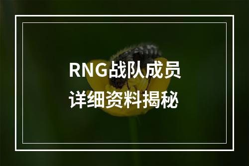 RNG战队成员详细资料揭秘