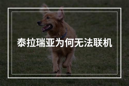 泰拉瑞亚为何无法联机