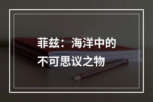 菲兹：海洋中的不可思议之物