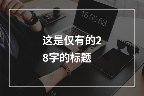 这是仅有的28字的标题