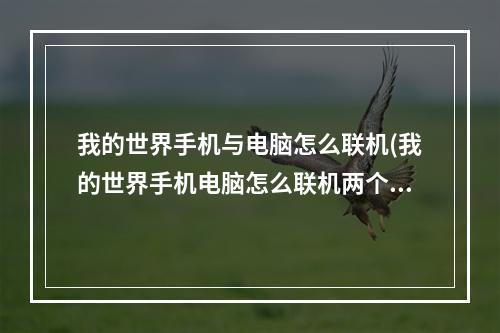 我的世界手机与电脑怎么联机(我的世界手机电脑怎么联机两个人一起玩)