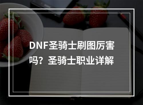 DNF圣骑士刷图厉害吗？圣骑士职业详解