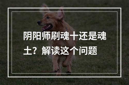 阴阳师刷魂十还是魂土？解读这个问题