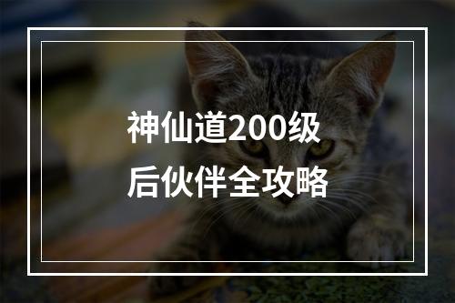 神仙道200级后伙伴全攻略