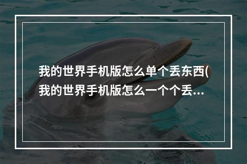 我的世界手机版怎么单个丢东西(我的世界手机版怎么一个个丢东西)