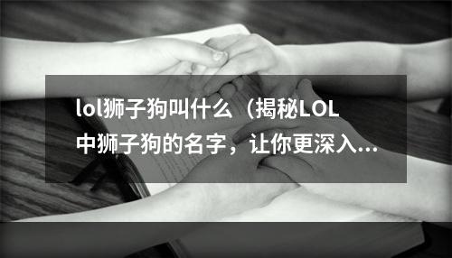 lol狮子狗叫什么（揭秘LOL中狮子狗的名字，让你更深入了解这款游戏）