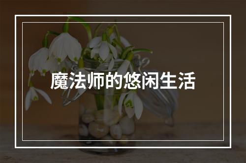 魔法师的悠闲生活