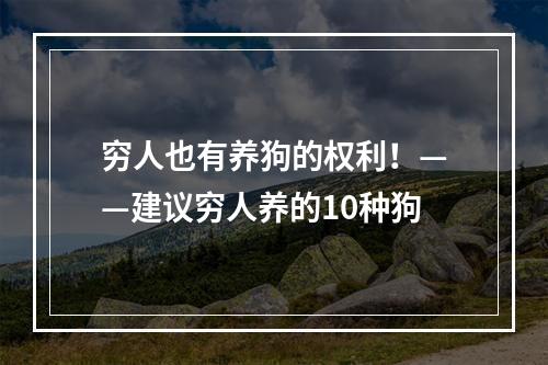 穷人也有养狗的权利！——建议穷人养的10种狗