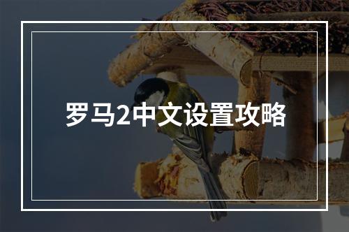 罗马2中文设置攻略