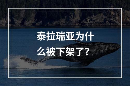 泰拉瑞亚为什么被下架了？