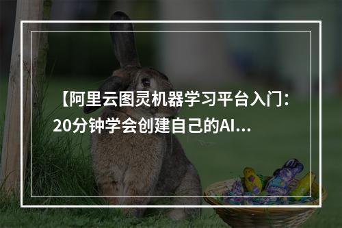 【阿里云图灵机器学习平台入门：20分钟学会创建自己的AI模型】