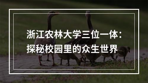 浙江农林大学三位一体：探秘校园里的众生世界