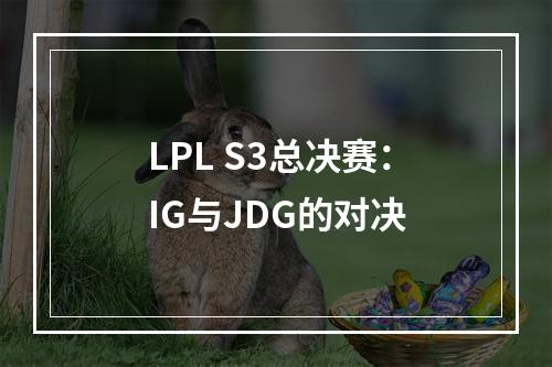 LPL S3总决赛：IG与JDG的对决