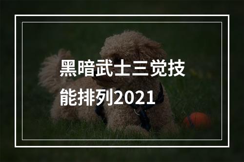 黑暗武士三觉技能排列2021