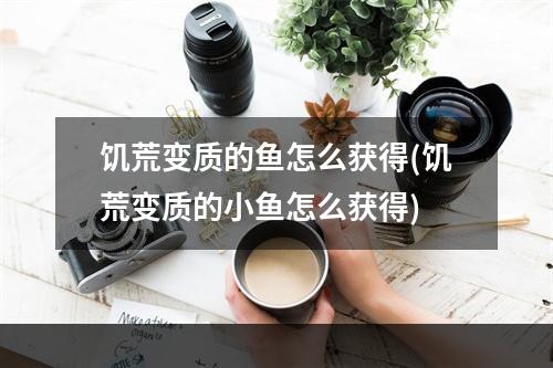 饥荒变质的鱼怎么获得(饥荒变质的小鱼怎么获得)