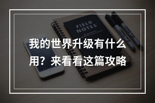 我的世界升级有什么用？来看看这篇攻略