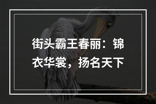 街头霸王春丽：锦衣华裳，扬名天下