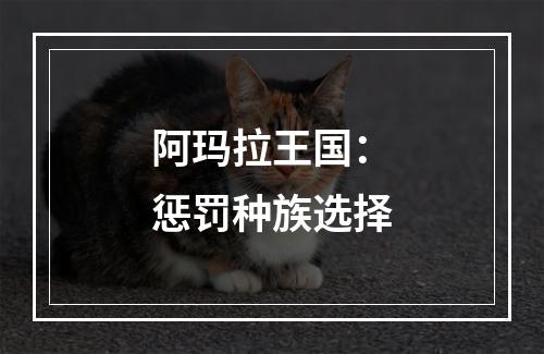 阿玛拉王国：惩罚种族选择