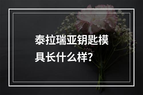 泰拉瑞亚钥匙模具长什么样？