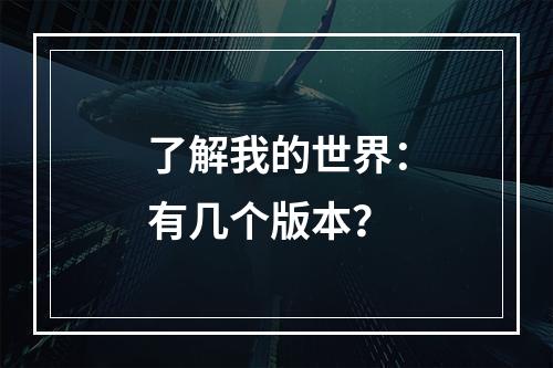 了解我的世界：有几个版本？