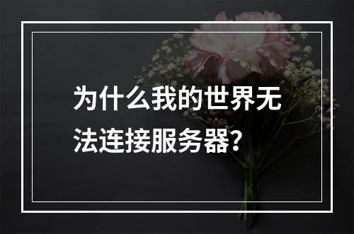 为什么我的世界无法连接服务器？