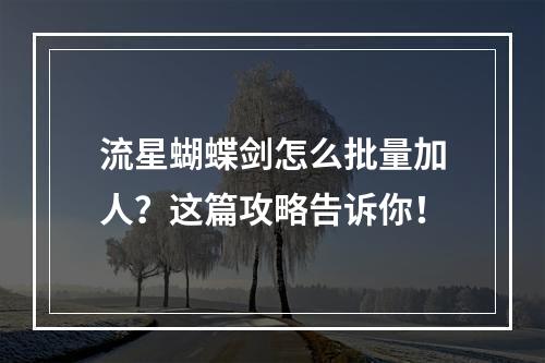 流星蝴蝶剑怎么批量加人？这篇攻略告诉你！