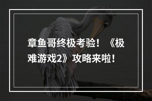 章鱼哥终极考验！《极难游戏2》攻略来啦！