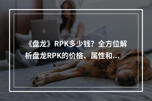 《盘龙》RPK多少钱？全方位解析盘龙RPK的价格、属性和用途