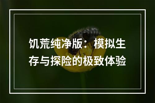 饥荒纯净版：模拟生存与探险的极致体验