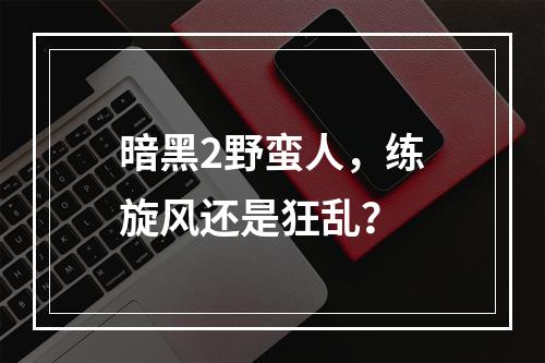 暗黑2野蛮人，练旋风还是狂乱？