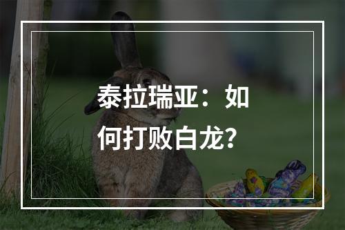 泰拉瑞亚：如何打败白龙？