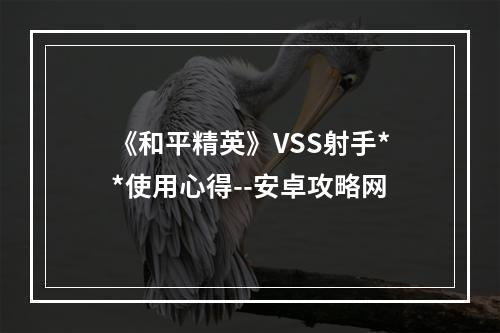 《和平精英》VSS射手**使用心得--安卓攻略网