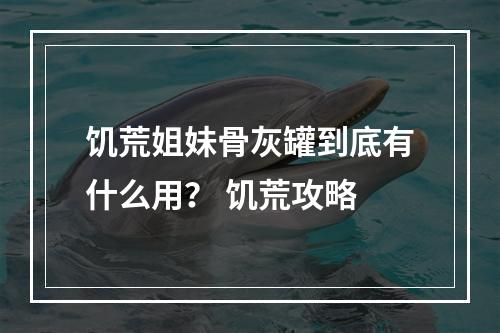 饥荒姐妹骨灰罐到底有什么用？ 饥荒攻略