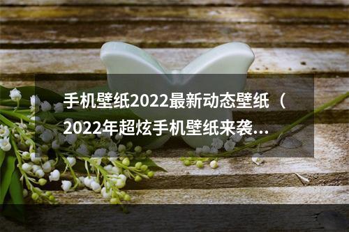 手机壁纸2022最新动态壁纸（2022年超炫手机壁纸来袭！）