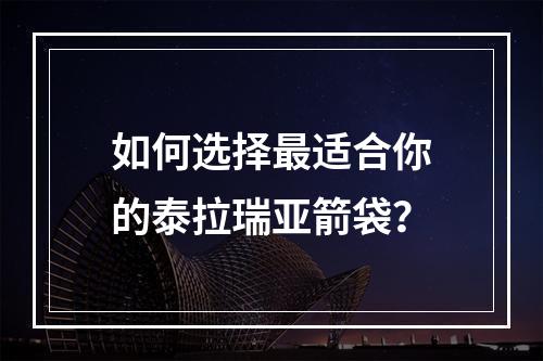 如何选择最适合你的泰拉瑞亚箭袋？