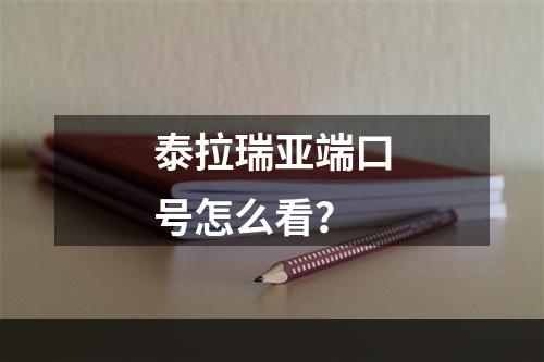 泰拉瑞亚端口号怎么看？