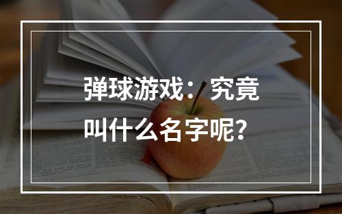 弹球游戏：究竟叫什么名字呢？