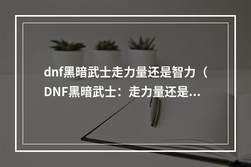 dnf黑暗武士走力量还是智力（DNF黑暗武士：走力量还是智力？）