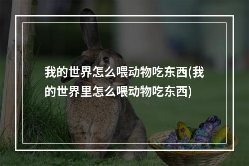 我的世界怎么喂动物吃东西(我的世界里怎么喂动物吃东西)