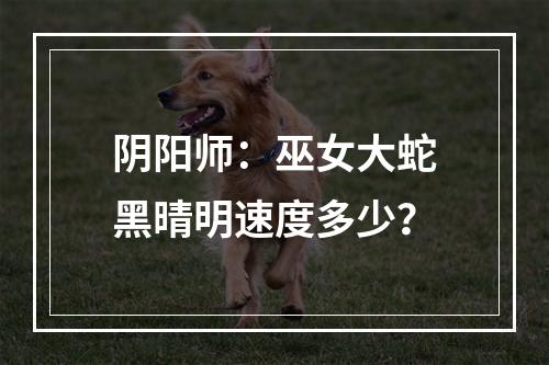 阴阳师：巫女大蛇黑晴明速度多少？