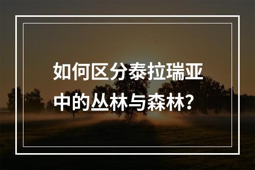 如何区分泰拉瑞亚中的丛林与森林？