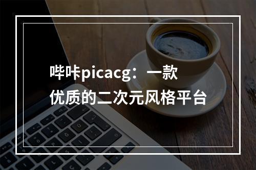 哔咔picacg：一款优质的二次元风格平台