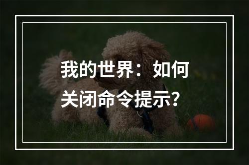 我的世界：如何关闭命令提示？