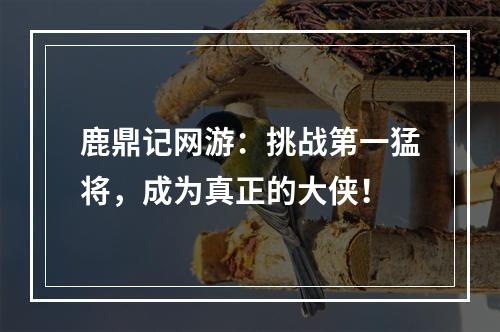 鹿鼎记网游：挑战第一猛将，成为真正的大侠！