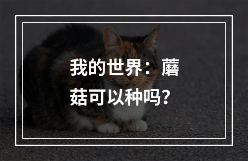 我的世界：蘑菇可以种吗？